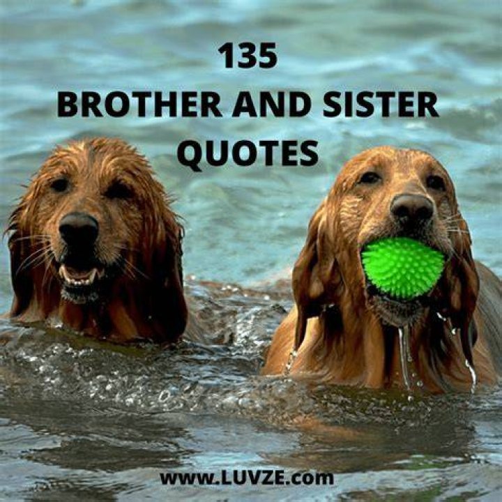 135 Cute Brother Sister Quotes, Sayings and Messages