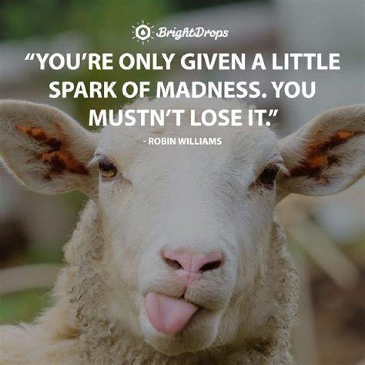 40 Funny Inspirational Quotes That will Fun Motivation FunZumo