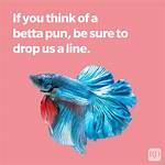 50+ Funny Fish Puns, Jokes and Memes You Just Have to See