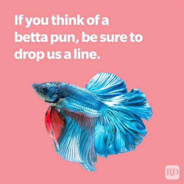 50+ Funny Fish Puns, Jokes and Memes You Just Have to See