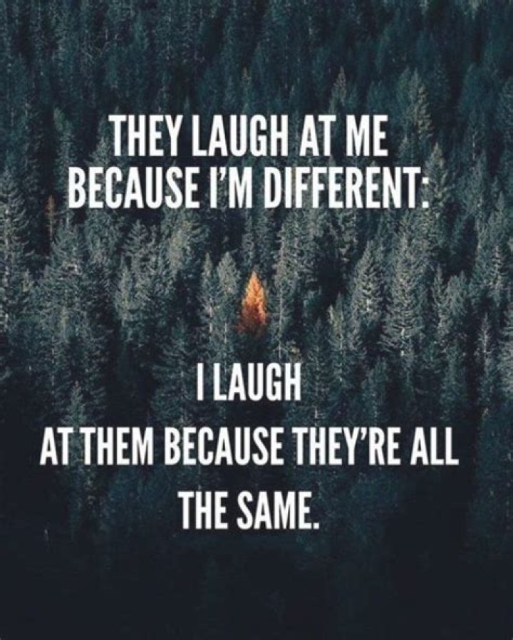 55 Funny Motivational Quotes That Will Inspire You Extremely