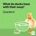 70+ Funny Duck Jokes, Puns and Sayings That Will Make You Keel Over