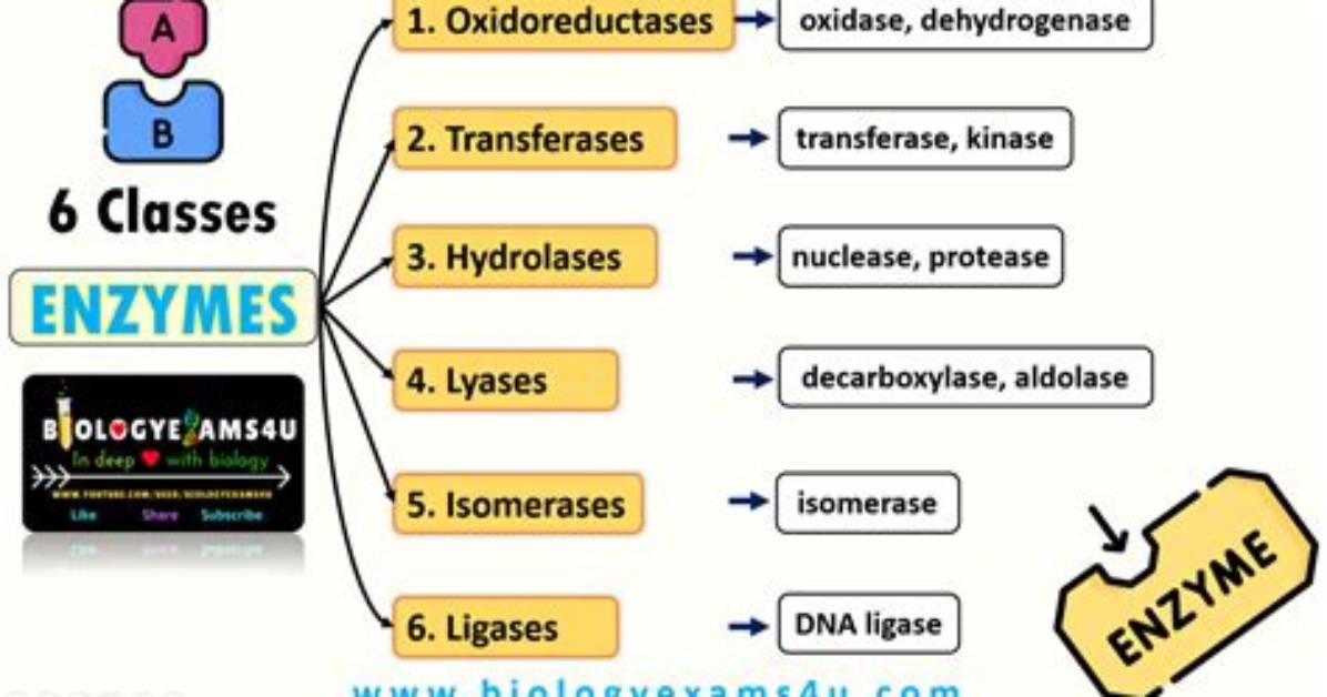 A Breakdown of All Six Classes in 'Tiny Tina's Wonderlands'