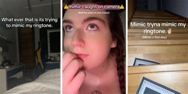 A Creepy New Video Warns Tiktokers That They "Do Not Recognize the Bodies in the Water"
