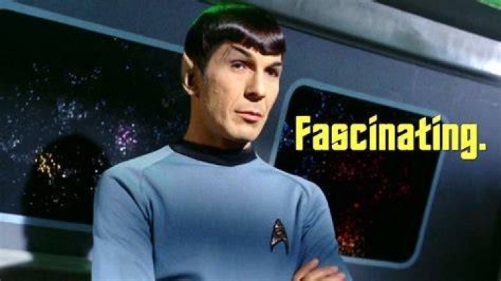 A Fascinating Look at Dr. Michael Burry's Investment Strategy (2023)