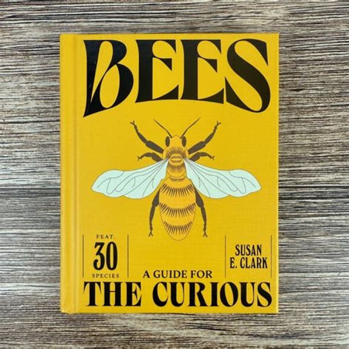 A Guide For The Curious