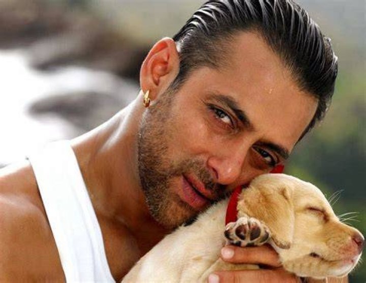 ALL ABOUT HOLLYWOOD STARS Salman Khan Wife Katrina Kaif 2013