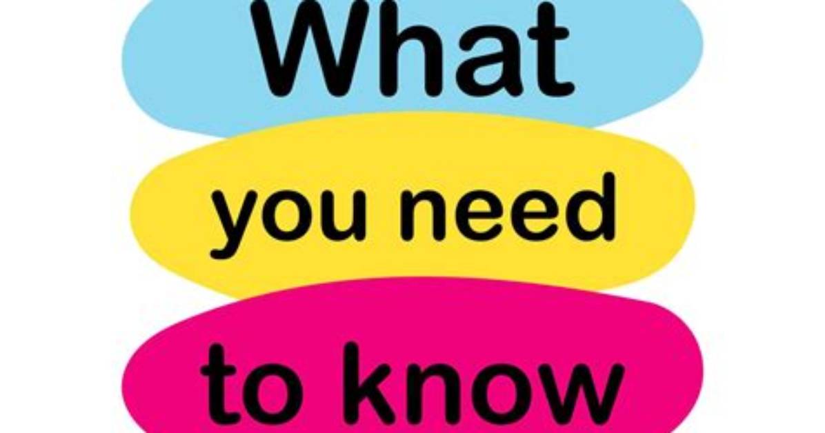 All the Information You Need to Know About Diane Plese