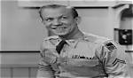 Allan Melvin Net Worth
