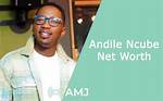 Andile Ncube Net Worth