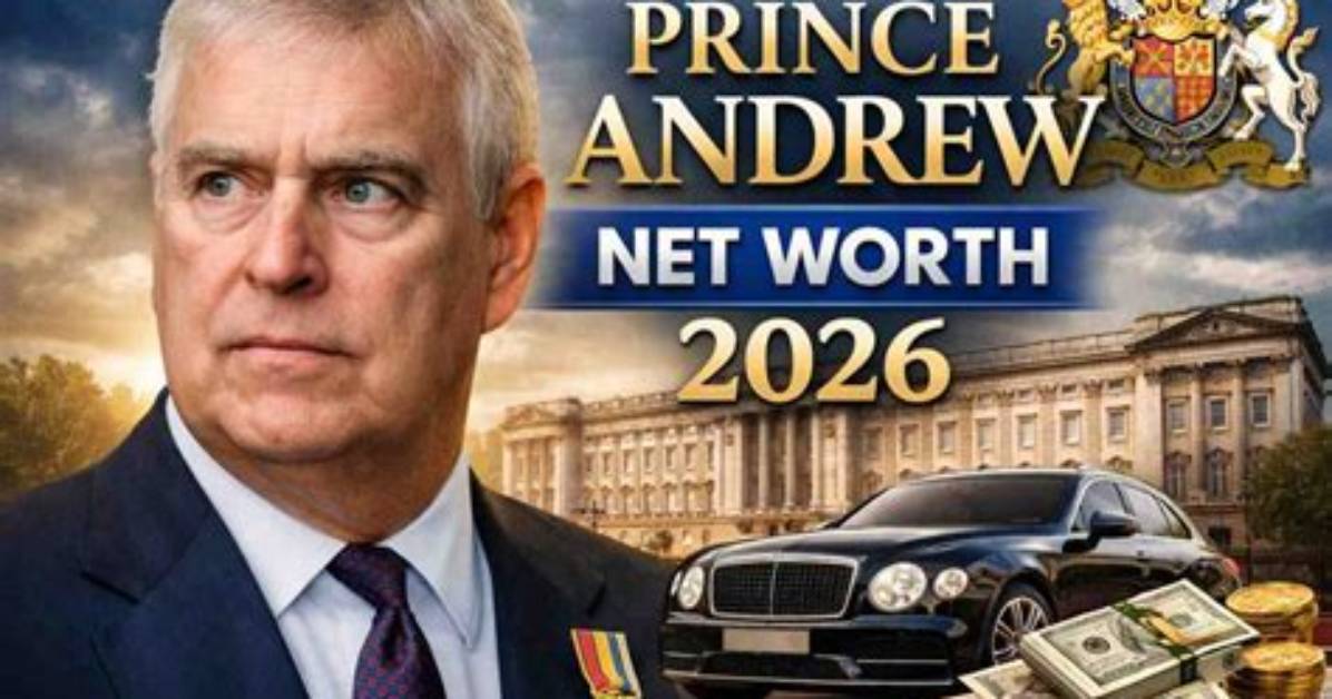 Andrew Belle Net Worth