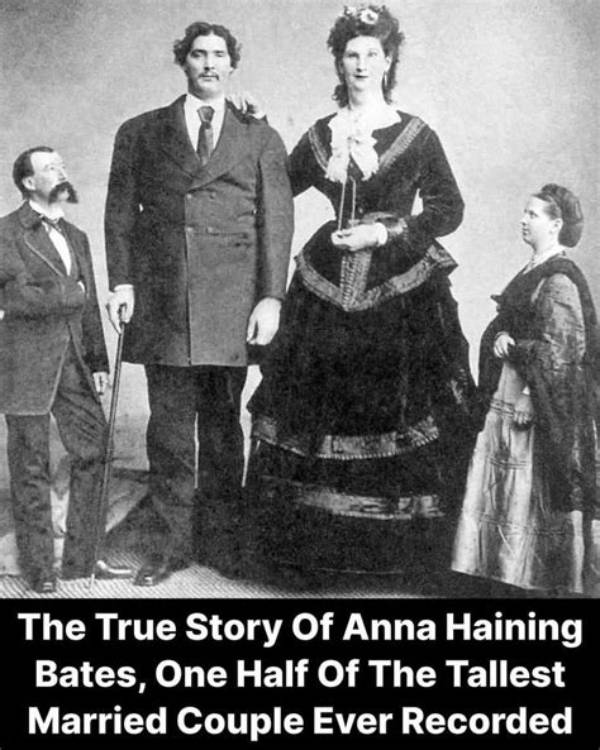 Anna Haining Bates Net Worth