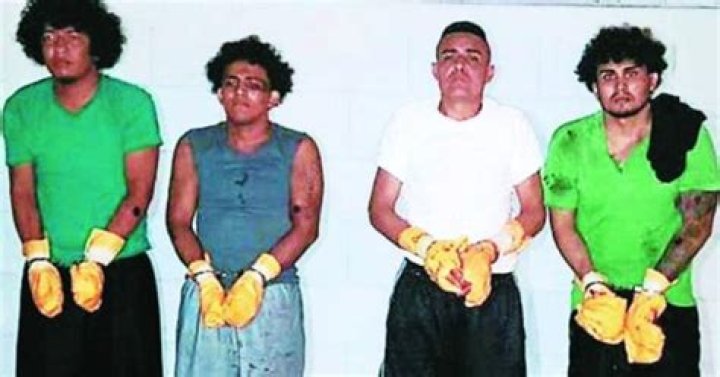 Asesinato de Magdaleno Meza Fúnez en El Pozo I