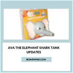 Ava the Elephant Shark Tank – Founder, Net Worth and Investment