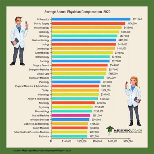 Average Salary of a Doctor – Earnings and Hourly Wages