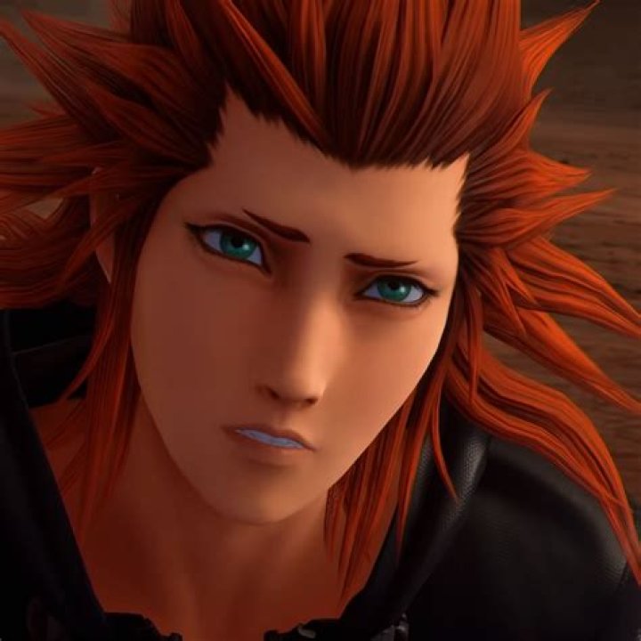 Axel Kingdom Hearts Photo (35951919) Fanpop