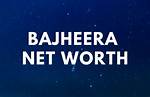 Bajheera Net Worth