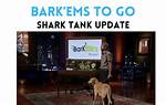 Bark ‘Ems Shark Tank – Founder, Net Worth and Investment