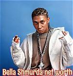 Bella Shofie Net Worth