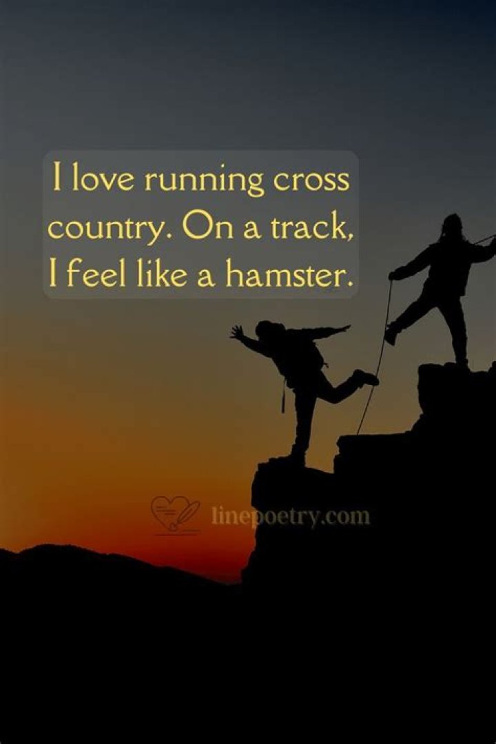 Best Track Quotes Story linepoetry