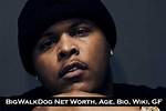Bigwalkdog Net Worth - How Much Does Bigwalkdog Make?