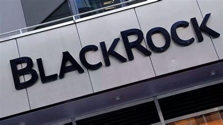 BlackRock Los inversores espa&ntilde;oles son los que m&aacute;s ahorran e invierten