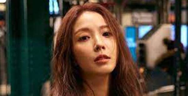 Boa Net Worth