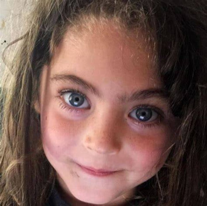 Bodhi Ransom Green | Parents, Dress-Up, School, & Other Facts Bodhi Ransom Green