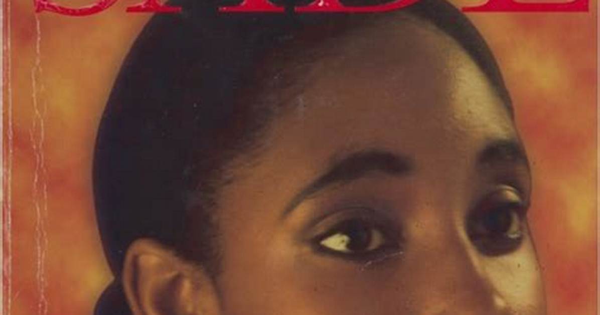Book of Lies? Anne Giwa-Amu’s False Plagiarism Accusation Against Chimamanda Adichie