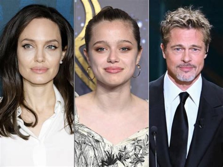Brad Pitt, Angelina Jolie’s Family Album Pics With 6 Kids