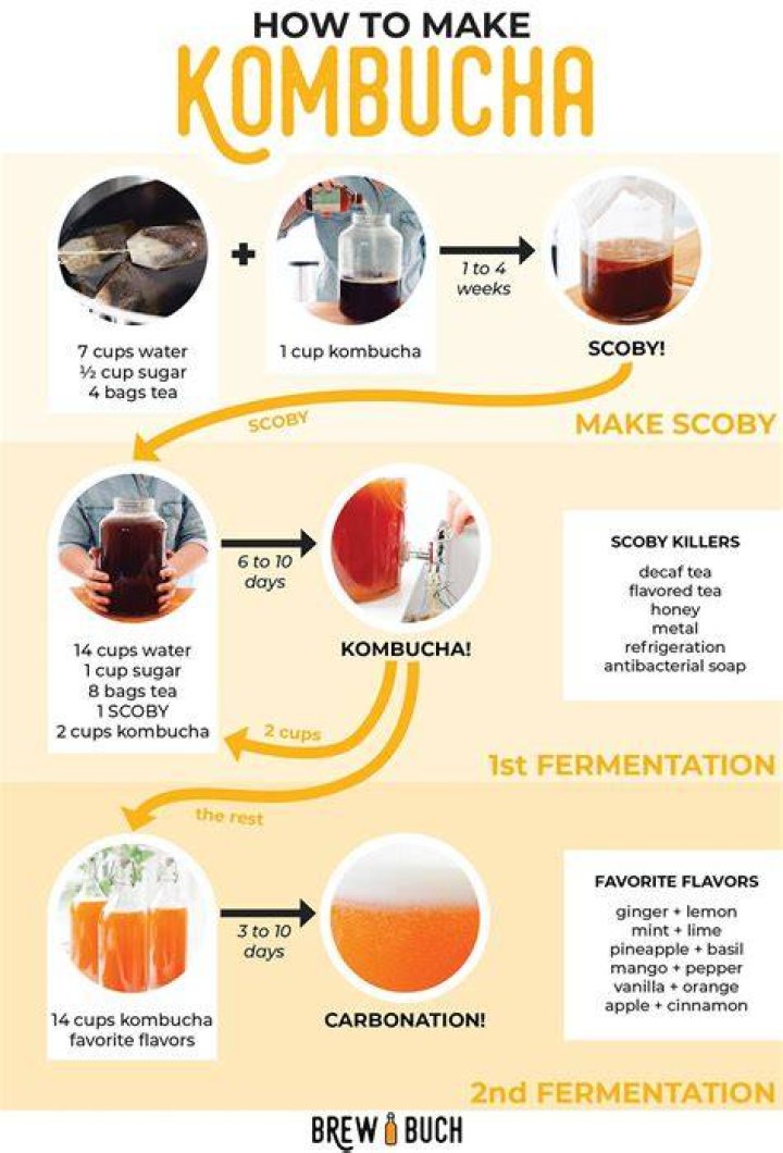 Brewing your own kombucha is easier—and cheaper—than you may think