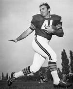 Brian Piccolo Net Worth