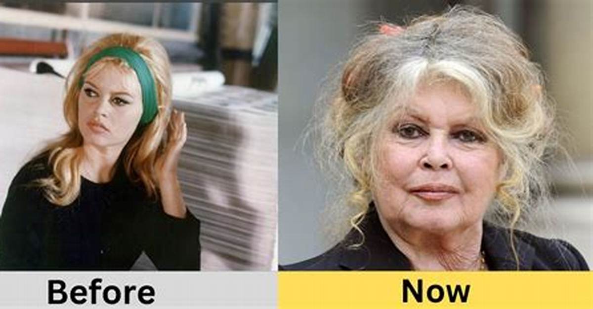 Brigitte Bardot Net Worth 2024