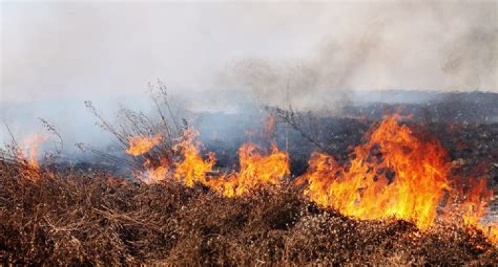 Brush fire grows to 450 acres on Owyhee County; zero percent contained