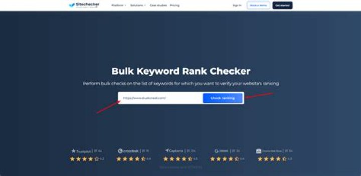 Bulk Keywords Ranking Checker Uncategorized Media Shark