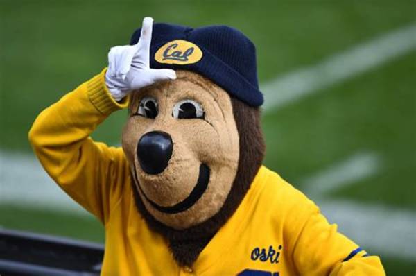 California Golden Bears | College Football Network