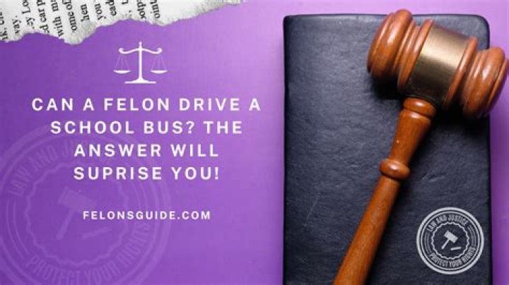 can felon drive for the lyft