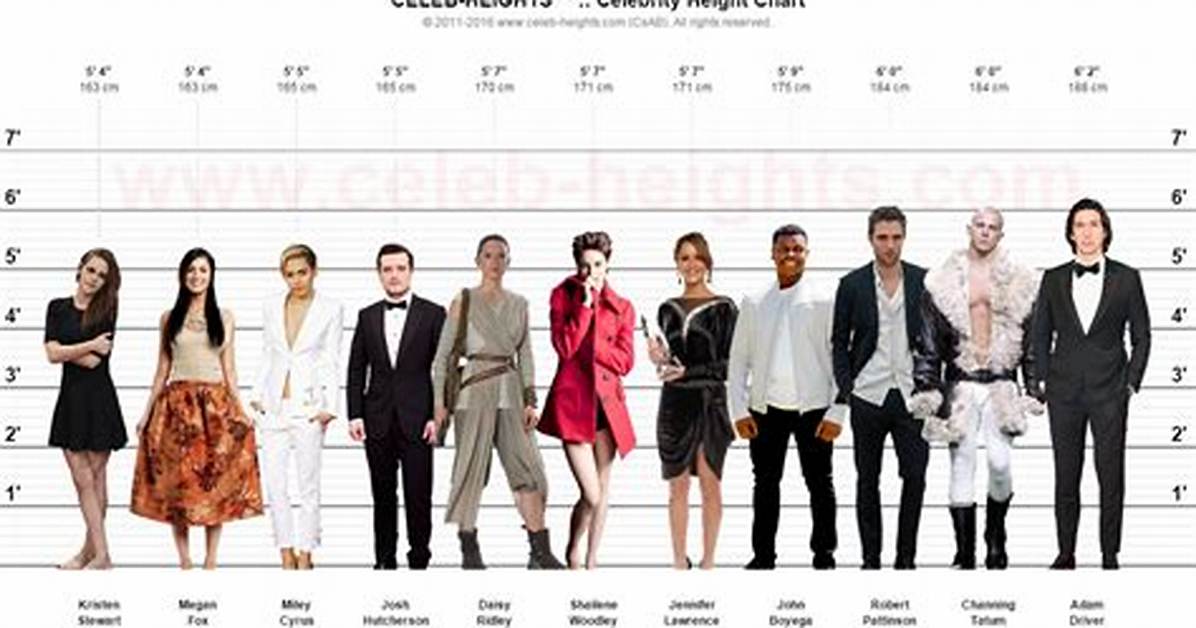Celebrities That Are 5’4 – Average Height in Fame