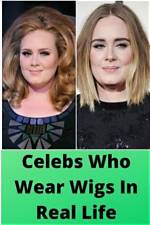 Celebrities That Wear Wigs – Hair Transformations