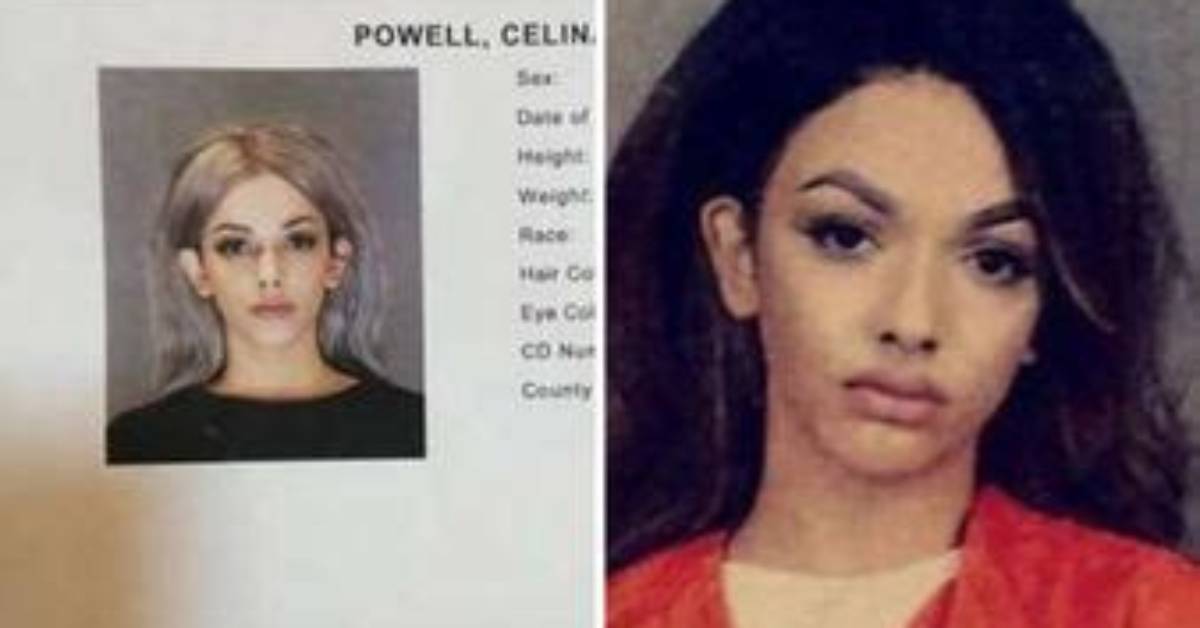 Celina Powell Before and After Plastic Surgery, Boyfriend and Wikipedia Bio