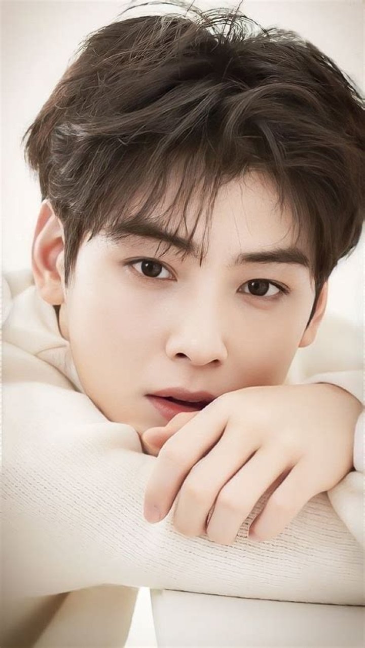 「Cha Eun Woo」おしゃれまとめの人気アイデア|Pinterest|Paula Munster チャ・ウヌ, チャウヌ, 俳優