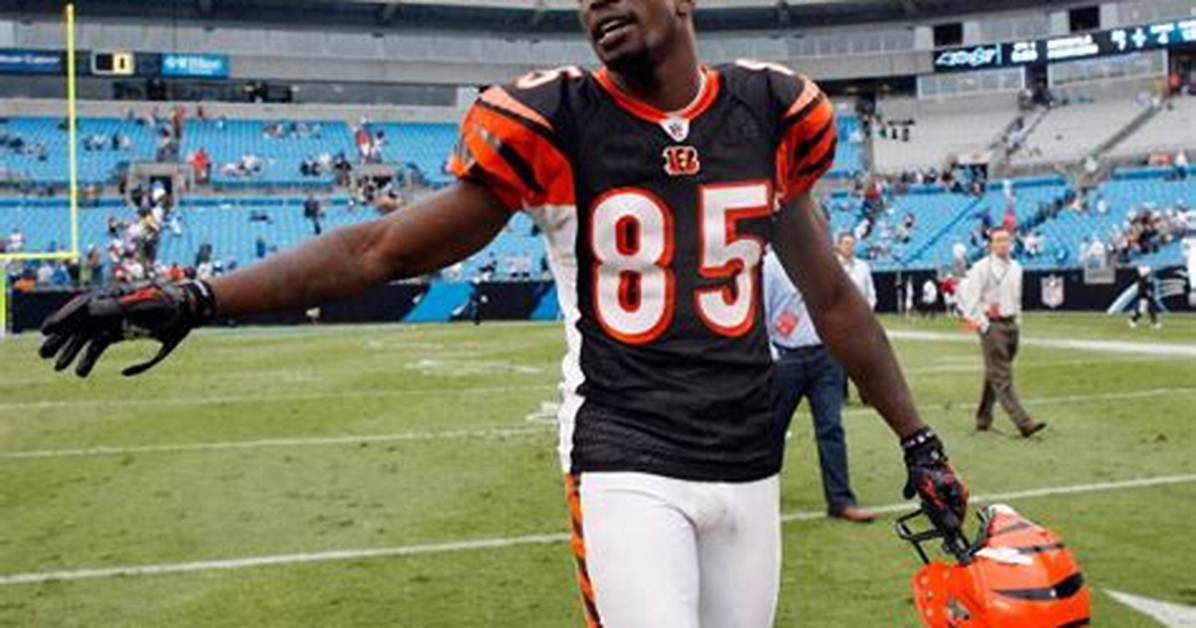 Chad Johnson Net Worth