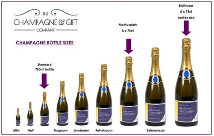 Champagne Bottle Sizes ToronadoSD