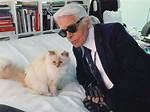 Choupette Lagerfeld Net Worth 2024