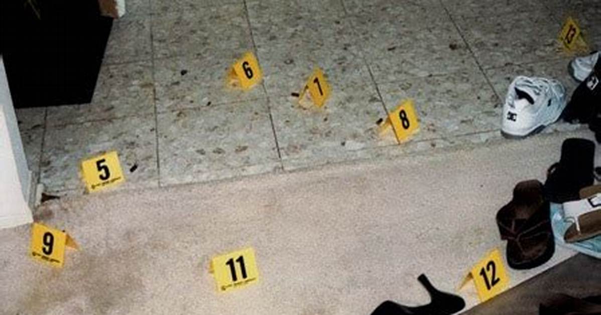 Christine Paolilla Crime Scene Photos: Victims and 2023 Update