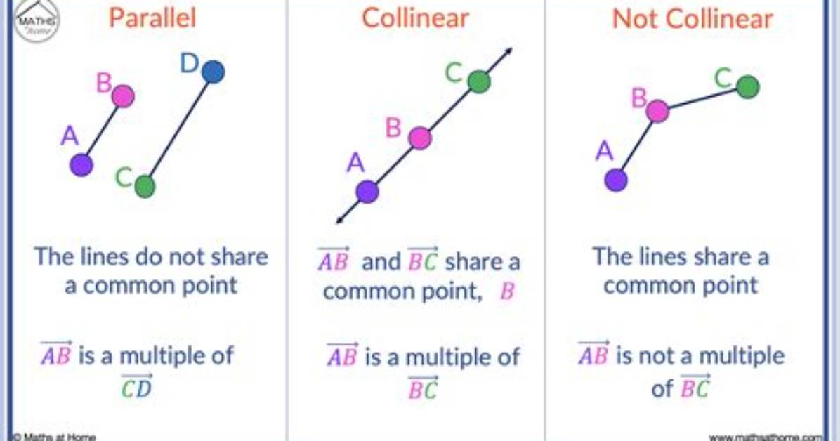 Collinear Points That Form Unique Lines Calculator Video