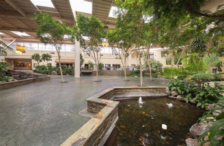 CONCORD PLAZA / WALNUT CREEK HOTEL 127 (̶1̶4̶7̶) Prices & Reviews CA