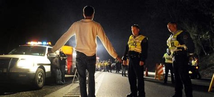 Cops conducting sobriety test on Fraser Bohm