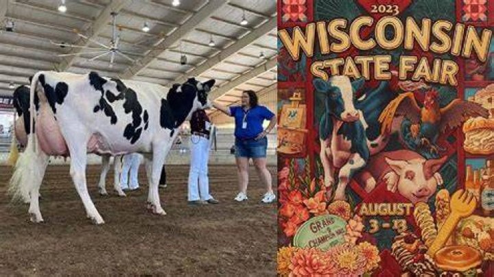 Cow named after racial slur removed from Wisconsin State Fair