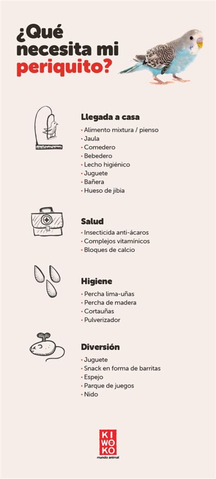 Cuidados del periquito australiano El Periodiquito